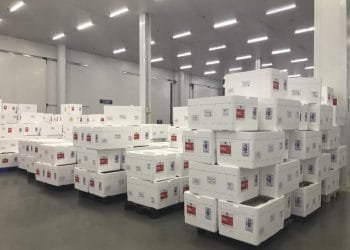 Covid-19: Ministério distribui mais 2,6 milhões de doses da Coronavac