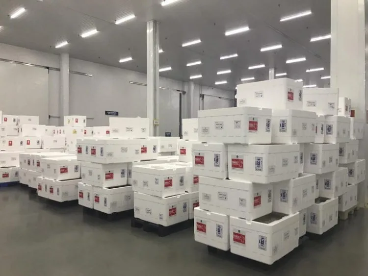 Covid-19: Ministério distribui mais 2,6 milhões de doses da Coronavac
