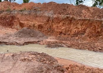 Operação da Semad resulta em multas que somam mais de R$ 1,2 milhão