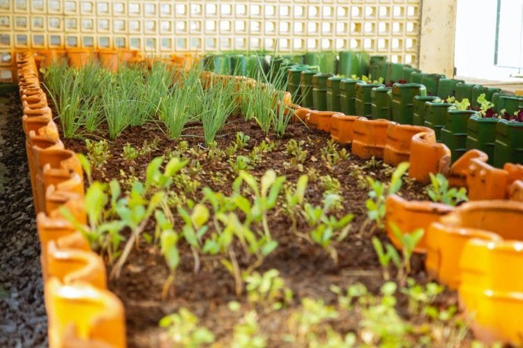 Secretaria de Meio Ambiente prepara diversas ações em comemoração ao Dia Mundial de Meio Ambiente