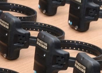 Caiado sanciona lei que prevê cobrança para uso de tornozeleiras eletrônicas, em Goiás