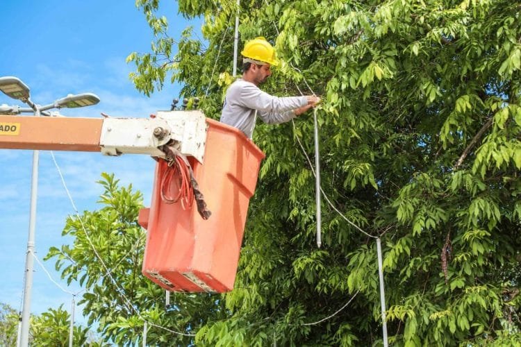 Prefeitura começa a instalar decoração natalina que será ativada no próximo dia 23