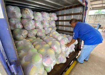 Governo de Goiás inicia entrega de meio milhão de brinquedos nos 246 municípios do Estado