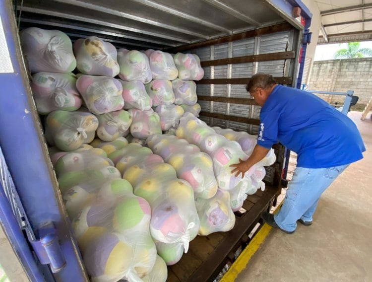 Governo de Goiás inicia entrega de meio milhão de brinquedos nos 246 municípios do Estado