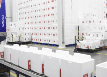 Brasil deve receber quase 200 milhões de doses de vacina Covid-19 até dezembro