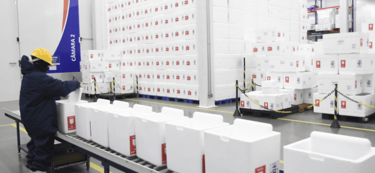 Brasil deve receber quase 200 milhões de doses de vacina Covid-19 até dezembro