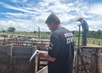 Polícia Civil recupera R$ 600 mil em gado furtado em Goiás