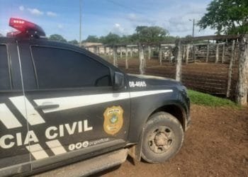Operação Duplicidade: recuperadas mais 66 cabeças de gado subtraídas no interior do Estado