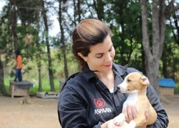 Thais Souza sugere criação da primeira UPA veterinária do estado de Goiás