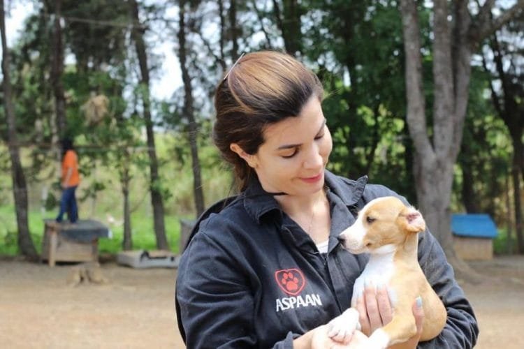 Thais Souza sugere criação da primeira UPA veterinária do estado de Goiás