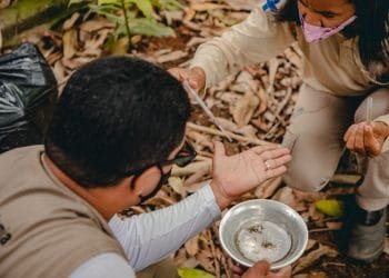 Prefeitura pede ajuda da população no combate ao mosquito transmissor da dengue