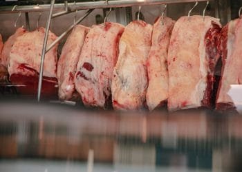 Procon realiza nova pesquisa de preço de 25 tipos de carne em comércio de Anápolis