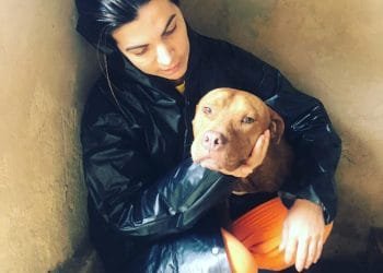 Vereadora anapolina faz apelo para que donos não abandonem seus animais