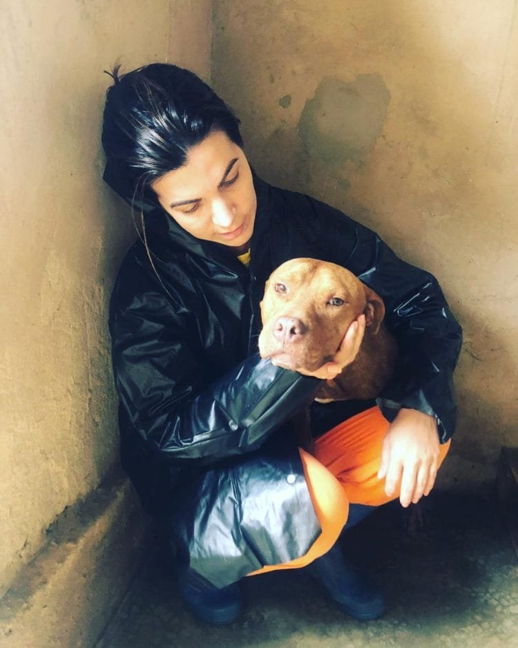 Vereadora anapolina faz apelo para que donos não abandonem seus animais