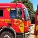 Em Anápolis, dois cachorros foram encontrados em situação de perigo pelo Corpo de Bombeiros
