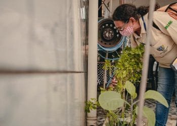 Prefeitura intensifica combate ao Aedes aegypti em bairros de Anápolis