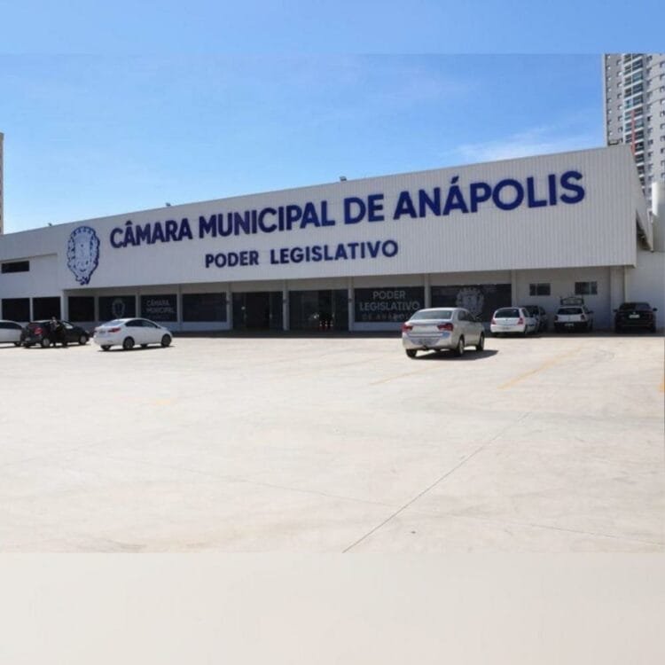 Projeto que proíbe pessoas portando armas acessem a Câmara Municipal de Anápolis é aprovado