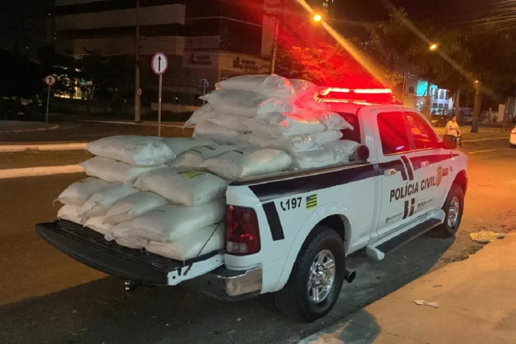 Ação apreende cerca de 4 toneladas de agrotóxicos adulterados em Goiânia