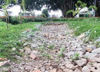 ‘Jardins de Chuvas’ de Anápolis são destaques durante reportagem do Jornal Nacional