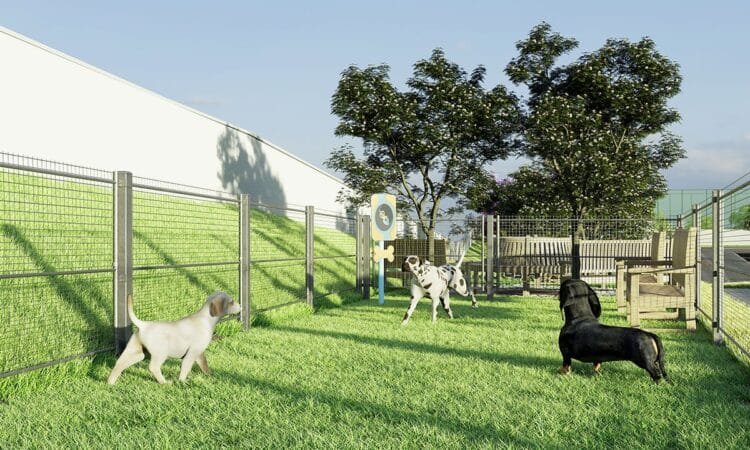 Projeto para criar ‘Área Pet’ em Goiás é vetado pelo governo