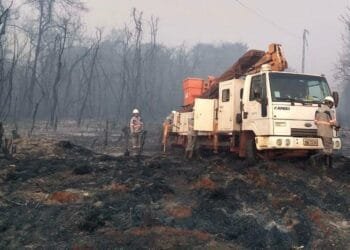 Enel inicia campanha de combate a incêndios ambientais durante o período de seca
