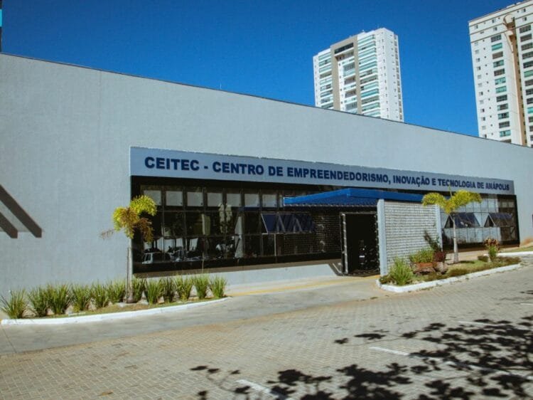CEITec está com inscrições abertas para pós-graduação gratuita em Tecnologia e Educação