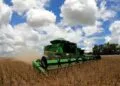 Balança comercial goiana cresce 50,71% de janeiro a julho