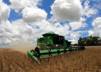 Balança comercial goiana cresce 50,71% de janeiro a julho