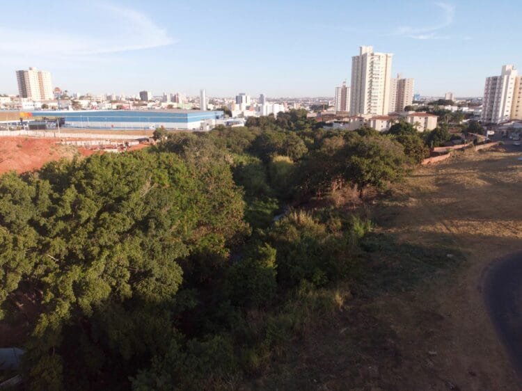 Prefeitura abrirá licitação para recuperar córrego João Cesário