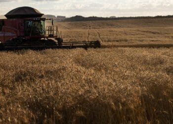 Indústria agrícola foi responsável por 6,4% do último PIB, com mais de R$ 540 bi