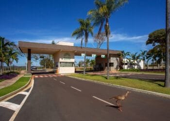 Oito a cada dez consumidores desejam imóvel mais conectado com meio ambiente, informa pesquisa