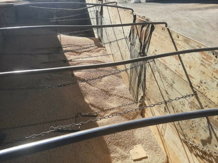 Inquérito sobre 14 toneladas de soja furtadas é finalizado com dois indiciados