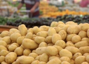 Batata lidera itens da cesta básica que sofreram maior variação em setembro