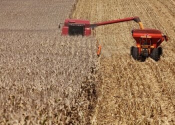 Valor da produção agropecuária de 2022 está estimado em R$ 1,207 trilhão