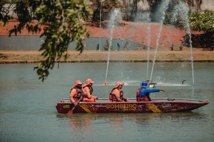 Represas do Parque Ipiranga recebem limpeza como parte da manutenção