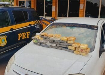 Droga é apreendida em carro transportado por cegonha
