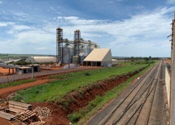 Goiás sediará escritório regional da ApexBrasil no Centro-Oeste