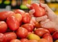 Tomate lidera variação de preço no mês de novembro