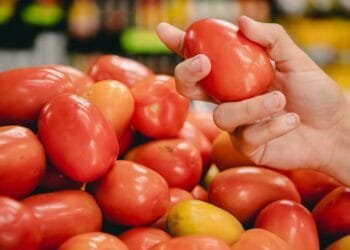 Tomate lidera variação de preço no mês de novembro