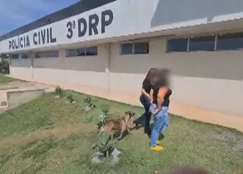 Mãe e filha são presas suspeitas de forjar assalto para conseguir dinheiro e pagar dívida