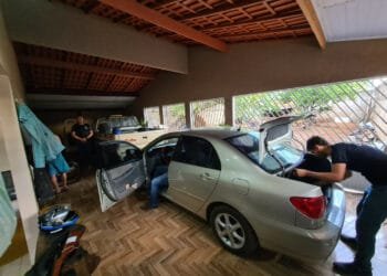 Homem é preso por golpe financeiro que envolvia cabeças de gado