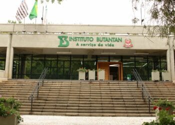 Vacina contra a dengue do Butantan atinge eficácia de 79,6%