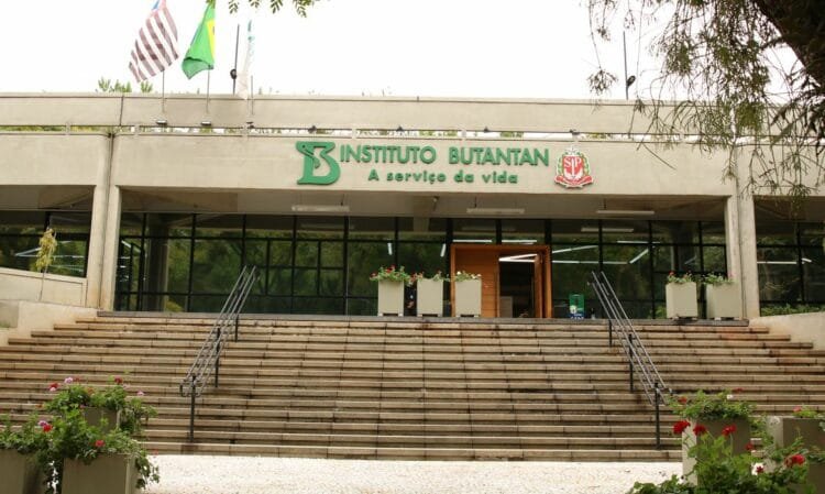Vacina contra a dengue do Butantan atinge eficácia de 79,6%
