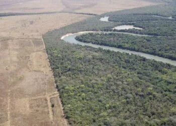 Estados governados por atuais ministros do governo Lula têm recorde de desmatamento