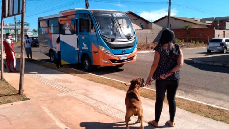 Castramóvel de Anápolis é interditado após denúncias de irregularidades