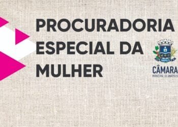 A Procuradoria Especial da Mulher como apoio ao combate à violência