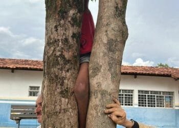 Bombeiros de Anápolis realizam resgate bem-sucedido de jovem preso em troncos de árvore