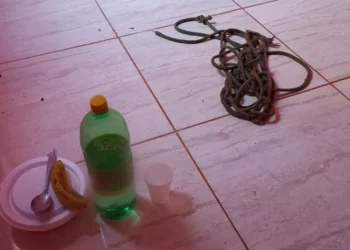 Libertação chocante: mulher é resgatada de cárcere privado pelo ex em Goianira