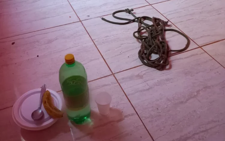 Libertação chocante: mulher é resgatada de cárcere privado pelo ex em Goianira