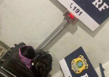 PRF apreende 70 kg de cabelo humano ilegal na BR-364 em Goiás